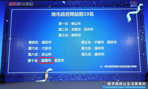 排名第十！威海市政府门户网站全国评估获佳绩，数字内容制作服务成亮点